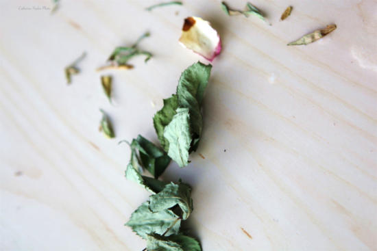 still nature on wooden background